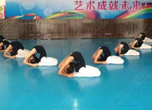 舞蹈室地板 芭蕾舞蹈專用地膠
