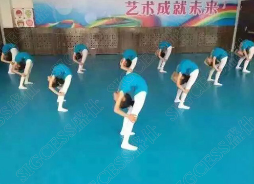 SIGCESS盛仕舞蹈地膠品牌 舞蹈房地膠