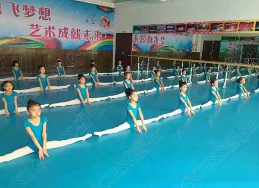SIGCESS盛仕舞蹈地膠廠家