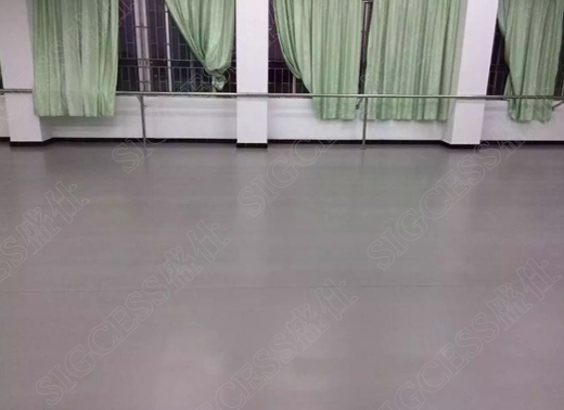 舞蹈教室專用地膠