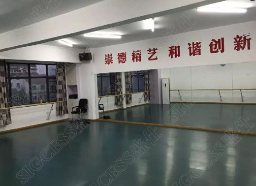 專用舞蹈地膠