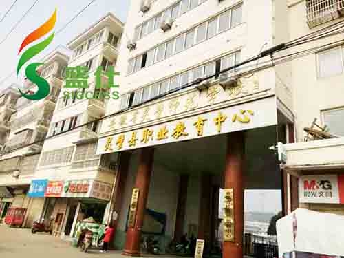 盛仕舞蹈地膠